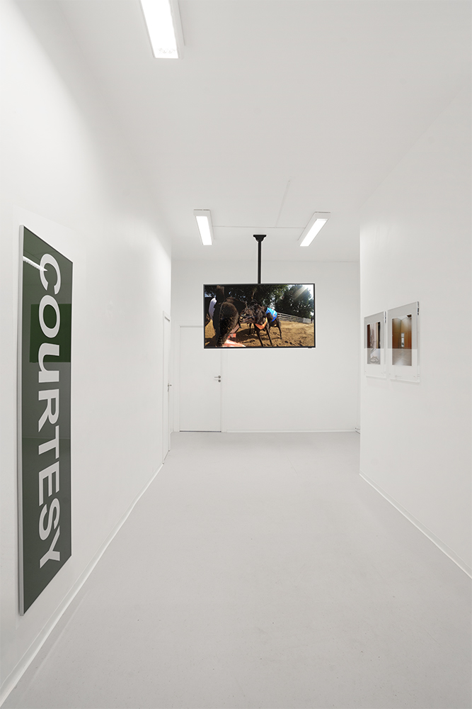 Installationsview, <em>Souvenirs and sublimation,</em> Forma, 2026.